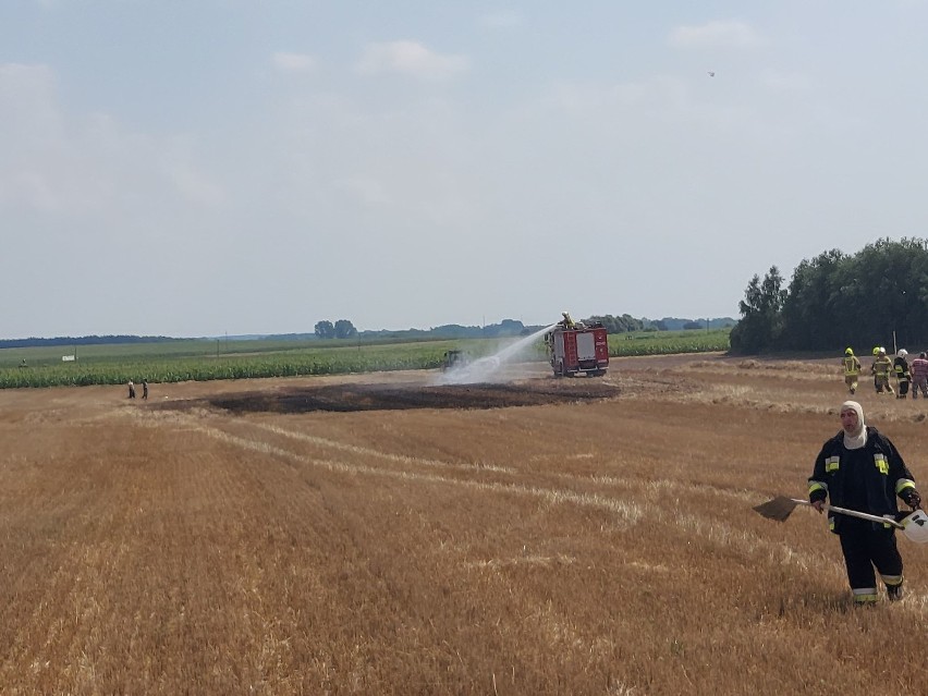 Witkowo: Upały sprzyjają pożarom, OSP Witkowo wezwane na dwie akcje  - Malenin i Kamionka [GALERIA]