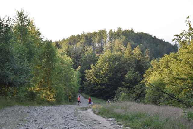 Spacer na Błatnią w Beskidzie Śląskim. 

Zobacz kolejne zdjęcia. Przesuwaj zdjęcia w prawo - naciśnij strzałkę lub przycisk NASTĘPNE