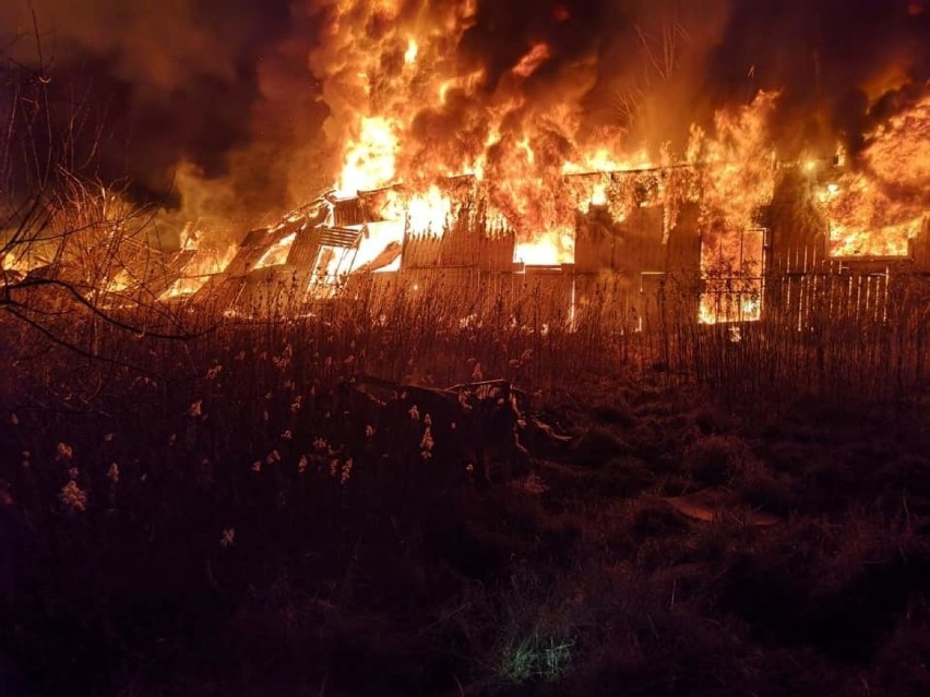 Odporyszów. Doszczętnie spłonęły zabudowania dawnej stadniny koni. Przyczyna pożaru na razie nie jest znana