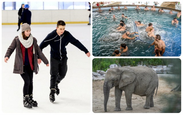 Bożego Narodzenia nie trzeba koniecznie spędzać w domu. W Poznaniu w świąteczne dni można się wybrać do kina, czynne są też m.in. palmiarnia i zoo, a także lodowisko. 

Zobaczcie, gdzie można się wybrać  w święta w Poznaniu. Przejdź do galerii ------->