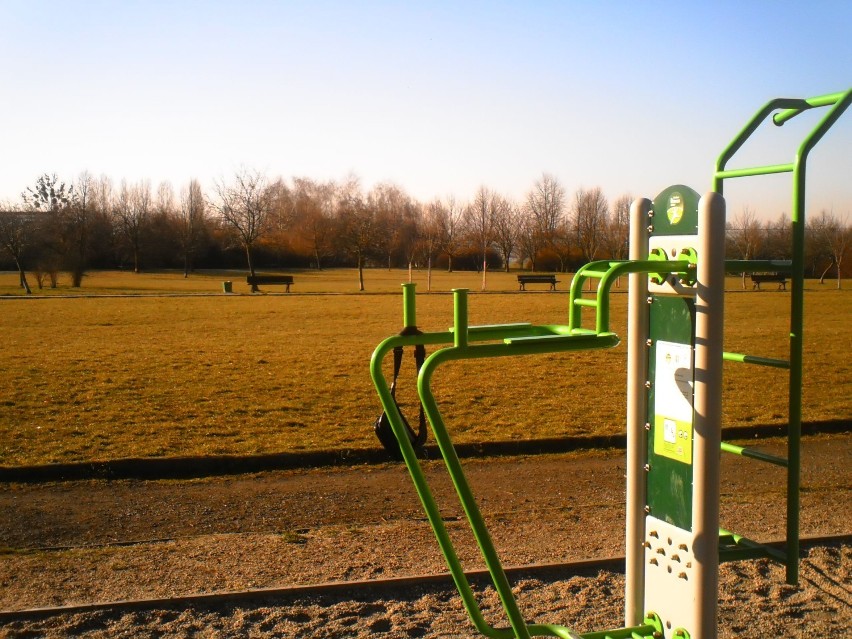 Fotogaleria skąpanego w słońcu parku na osiedlu Armii Krajowej