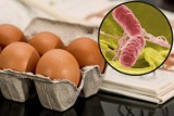 Uwaga na skażone jajka. GIS ostrzega: wykryto na nich salmonellę, a spożycie grozi zatruciem. Sprawdź, czy nie masz ich w domu