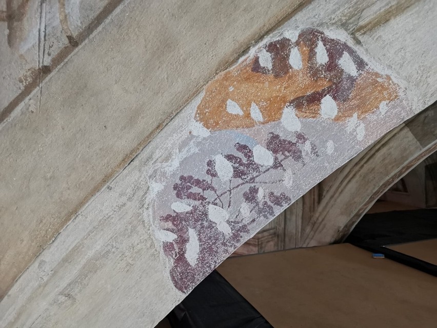 Dekoracja freskowa odkryta w kościele dominikanów w...