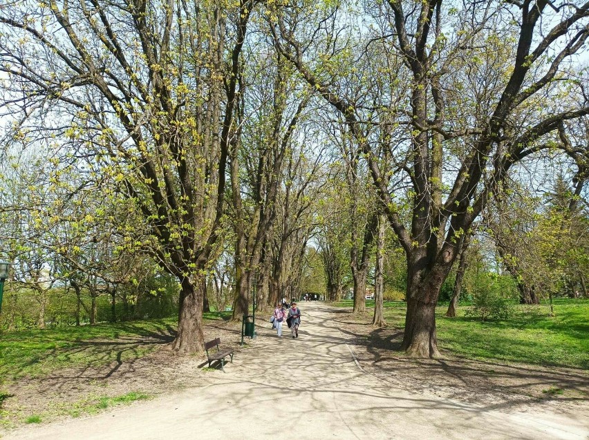 Park Miejski w Zamościu