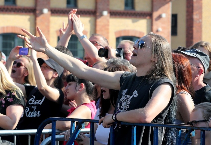 Legendy polskiego rocka zagrały pod Dźwigozaurami. Kobranocka, Chłopcy z Placu Broni, Tomek Lipiński i Sztywny Pal Azji [ZDJĘCIA]