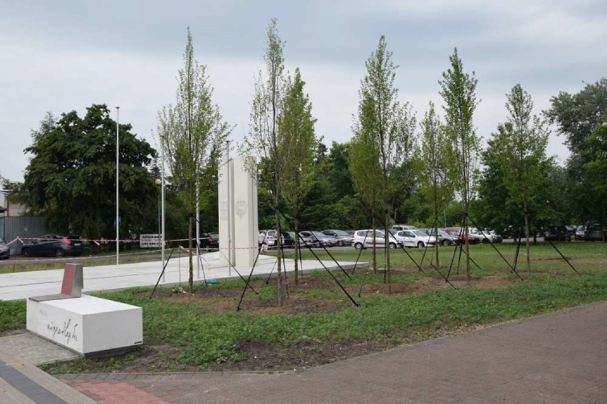 Pomnik przy ulicy Kościuszki w Wągrowcu do... poprawki 