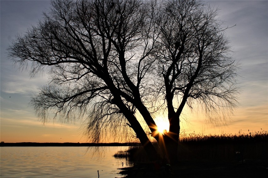 Zbąszyń. Zachody słońca nad jeziorem Błędno są tak piękne......