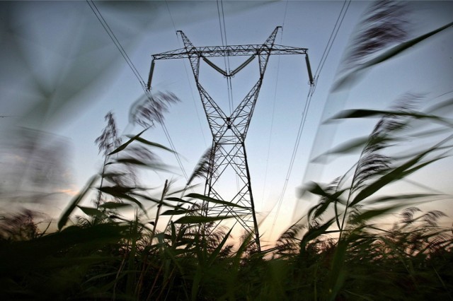 W Bydgoszczy i okolicach w najbliższych dniach zabraknie prądu. Przedstawiamy harmonogram planowanych wyłączeń prądu przez firmę Enea.

Sprawdźcie, na jakich osiedlach nie będzie prądu  >>>

FLESZ - zmiany w płatnościach, co piąta transakcja będzie wymagać użycia PIN-u

