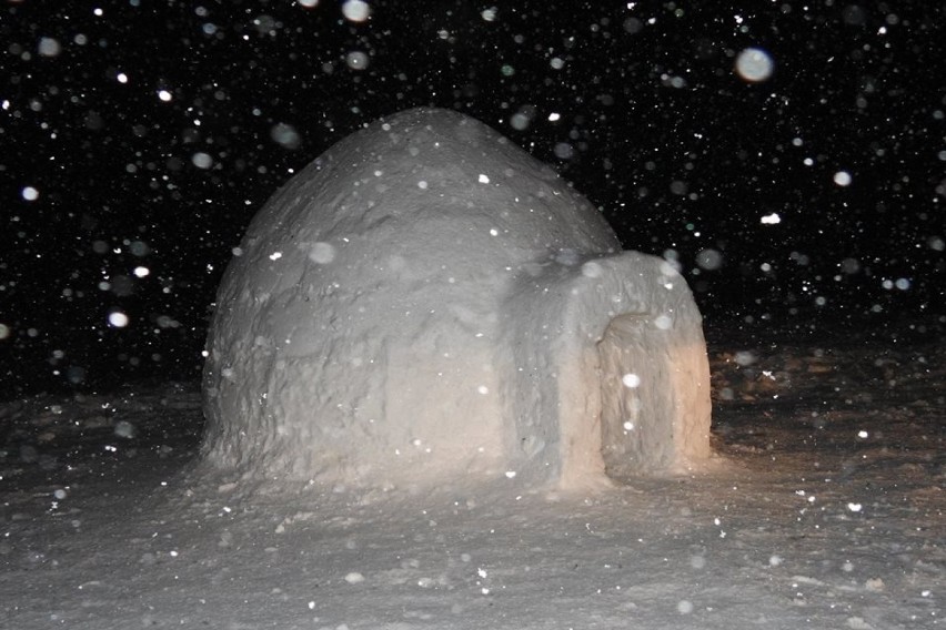 Mężczyzna buduje... igloo w górach. Dlaczego? 