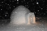 Mężczyzna buduje... igloo w górach. Dlaczego? 