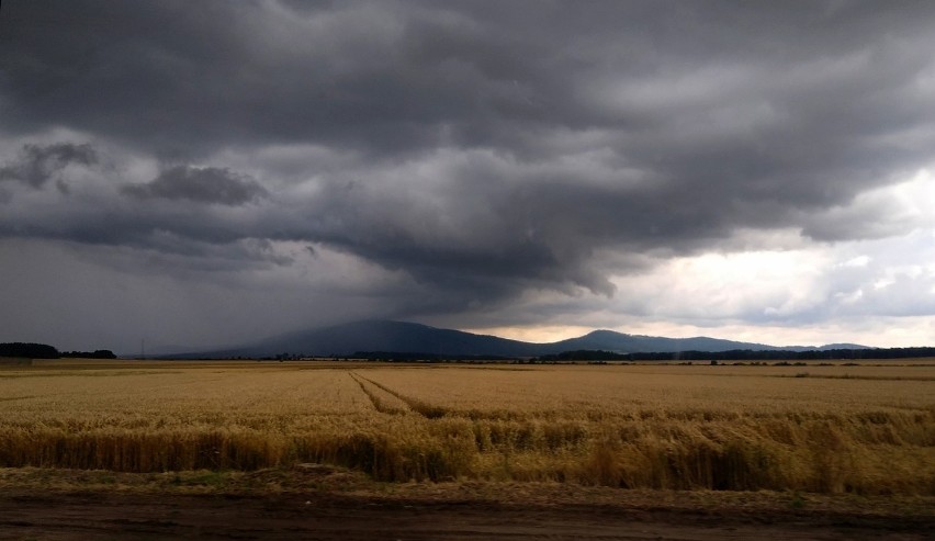 Instytut Meteorologii i Gospodarki Wodnej już od rana...