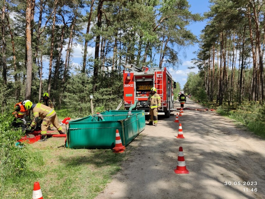 Strażacy z Kalisza oraz powiatów kaliskiego i tureckiego ćwiczyli na wypadek pożaru lasu. ZDJĘCIA