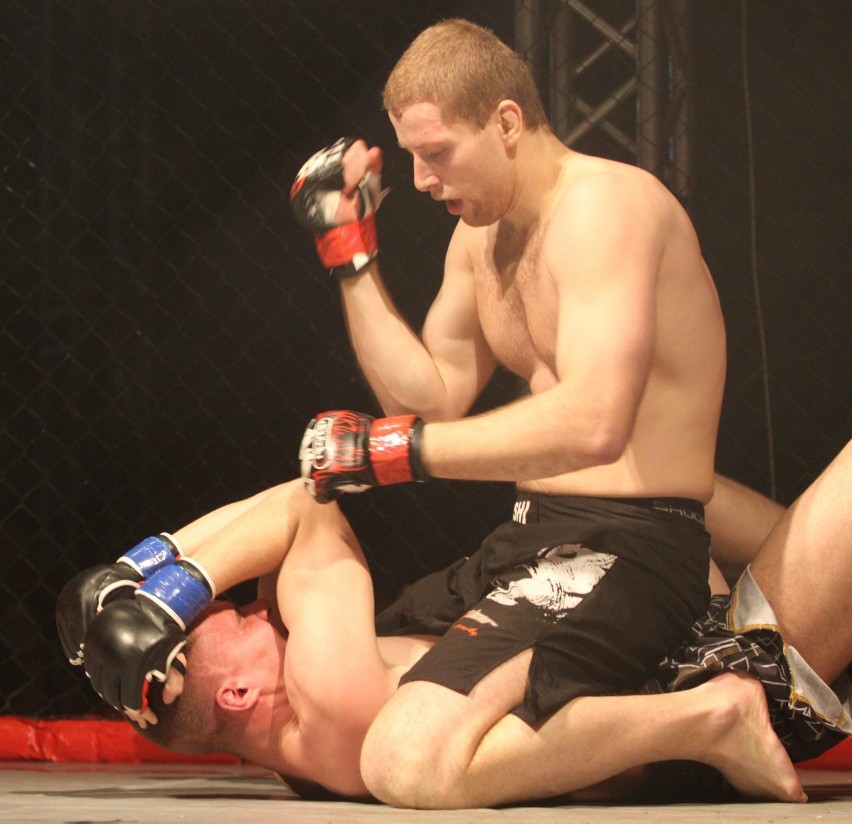 Testosteron 2014: Gala MMA