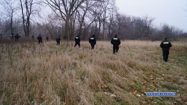 Blisko 70 funkcjonariuszy brało udział w poszukiwaniach zaginionego mężczyzny, kt&oacute;ry ostatni raz był widziany 1 listopada 2018 roku. Co się wydarzyło?

- Policjanci z Głogowa, strażacy ochotnicy oraz ochotnicy z grupy poszukiwawczo &ndash; ratowniczej OSP JRS Głog&oacute;w, uczestniczyli w sobotę 1 grudnia we wsp&oacute;lnej akcji poszukiwawczej w związku z zaginięciem Franciszka Wyźlińskiego. W działaniach użyto r&oacute;wnież wyszkolonego specjalnie w akcjach poszukiwawczych, psa tropiącego z KWP we Wrocławiu - wyjaśnia podinsp. Bogdan Kaleta, oficer prasowy KPP Głog&oacute;w. 

W akcji przeszukania terenu w rejonie Ostrowa Tumskiego w Głogowie, brało udział 67 policjant&oacute;w, strażak&oacute;w ochotnik&oacute;w OSP oraz grupa poszukiwawczo - ratownicza OSP JRS Głog&oacute;w. W akcję zaangażowano r&oacute;wnież specjalnie wyszkolonego psa tropiącego z Komendy Wojew&oacute;dzkiej Policji we Wrocławiu. 

Uczestnicy poszukiwań, dokładnie sprawdzili teren usytuowany w rejonie Ostrowa Tumskiego w Głogowie wraz z miejscami przyległymi do nurtu Odry. Celem działań, kt&oacute;re  prowadzono od godziny 10.00. w sobotę 1 grudnia 2018 roku, było ponowne przeszukanie terenu oraz miejsc, gdzie według policyjnych ustaleń, m&oacute;gł być ostatni raz widziany 72 letni Franciszek Wyźliński. Poszukujący nie odnaleźli zaginionego. Działania poszukiwawcze prowadzone są w dalszym ciągu.

Przypomnijmy, że 72-latek zaginął w 1 listopada 2018 roku. Policjanci od dnia zgłoszenia prowadzili intensywne działania poszukiwawcze, m.in. sprawdzając miejsca, gdzie m&oacute;gł być widziany ostatni raz. Dokładnie zweryfikowano r&oacute;wnież ustalenia i informacje jakie trafiły do policjant&oacute;w po zaginięciu mężczyzny.

Zobacz r&oacute;wnież: Polska policja dostała dwa śmigłowce Black Hawk
&lt;script class=&quot;XlinkEmbedScript&quot; data-width=&quot;700&quot; data-height=&quot;393&quot; data-url=&quot;//get.x-link.pl/aa9b9f0c-79dc-ea8a-2760-eba323619e63,b5257f6e-8ac7-a942-6351-4a6863f293ca,embed.html&quot; type=&quot;application/javascript&quot; src=&quot;//prodxnews1blob.blob.core.windows.net/cdn/js/xlink-i.js?v1&quot;&gt;&lt;/script&gt;

&lt;b&gt;POLECAMY R&Oacute;WNIEŻ PAŃSTWA UWADZE:&lt;/b&gt;
&lt;a href=&quot;https://gazetalubuska.pl/lubuskie-kierowcy-informuja-o-fatalnych-warunkach-wiele-drog-jest-sparalizowanych-z-powodu-gololedzi-zdjecia/ga/13707829/zd/32506351&quot;&gt;&lt;h2&gt;&lt;b&gt;Kierowcy informują o fatalnych warunkach. Wiele dr&oacute;g jest sparaliżowanych z powodu gołoledzi&lt;/b&gt;&lt;/h2&gt;&lt;img src=&quot;https://d-pt.ppstatic.pl/k/r/1/cf/59/5c0252f09944b_p.jpg?1543669576&quot; width=&quot;100%&quot;&gt;&lt;/a&gt;

&lt;center&gt;&lt;div class=&quot;fb-like-box&quot; data-href=&quot;https://www.facebook.com/gazlub/?fref=ts&quot; data-width=&quot;700&quot; data-show-faces=&quot;true&quot; data-stream=&quot;false&quot; data-header=&quot;true&quot;&gt;&lt;/div&gt;&lt;/center&gt;