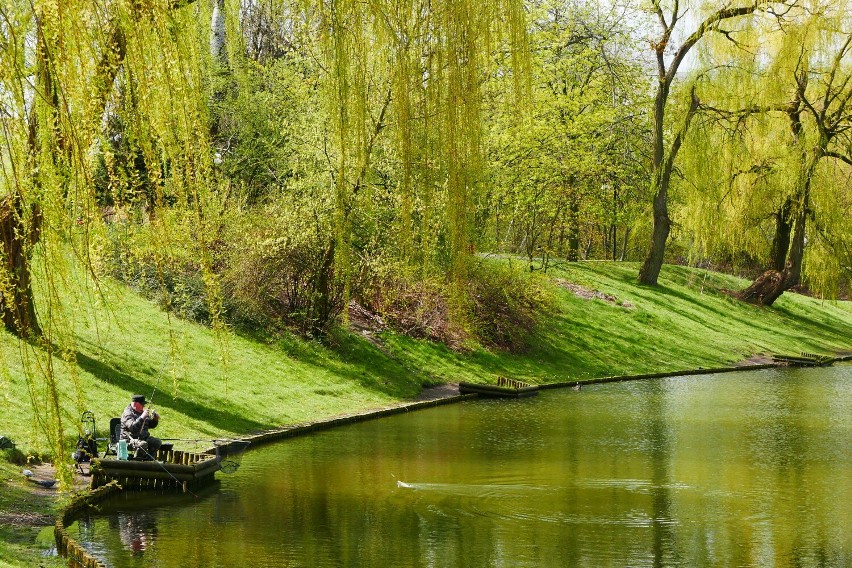 Park Moczydło to jedno najpiękniejszych miejsc w tej części...