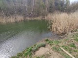 Zaciszny zbiornik w cieniu sztucznych pagórków w Wałbrzychu. Wiosną to miłosne ustronie dla żab - zobaczcie zdjęcia