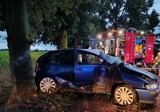 Kolizja w gminie Gołuchów. W okolicach miejscowości Czerminek samochód wypadł z drogi i uderzył w drzewo. Młody kierowca trafił do szpitala