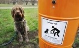 Straż miejska rusza do walki z osobami, które nie sprzątają po psach