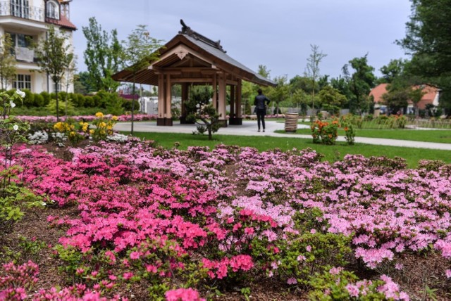 Jaka będzie pogoda w niedzielę, 20 maja 2018 (20.05.2018) na Pomorzu? Na zdjęciu park oliwski w Gdańsku