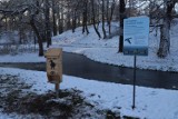 W brzeskich parkach pojawiły się "kaczkomaty". Pojemniki napełnione są specjalistyczną paszą dla ptaków