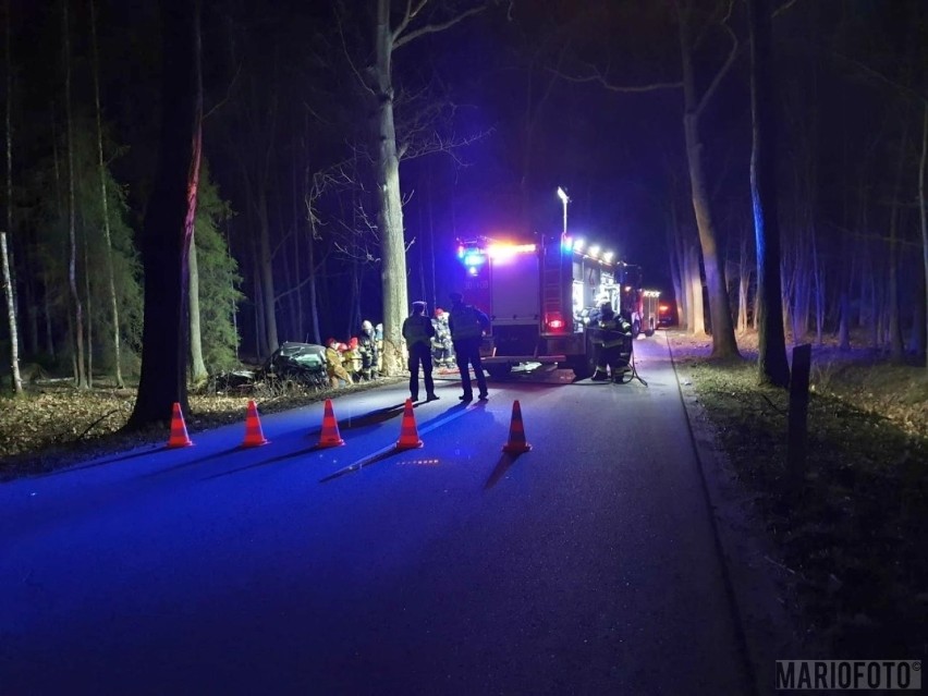 Wypadek w Murowie. Skoda na drzewie, nie żyje kierowca