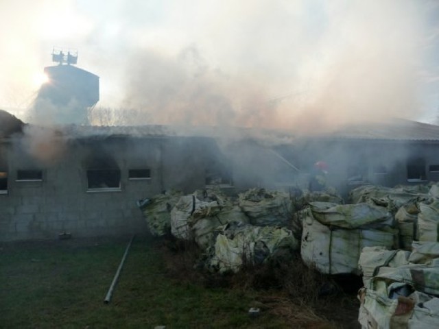 pożar chlewni w Zaworach