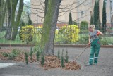 Powstaje nowy park przy Szkole Muzycznej w Lesznie. Ma służyć głównie uczniom [FOTO]