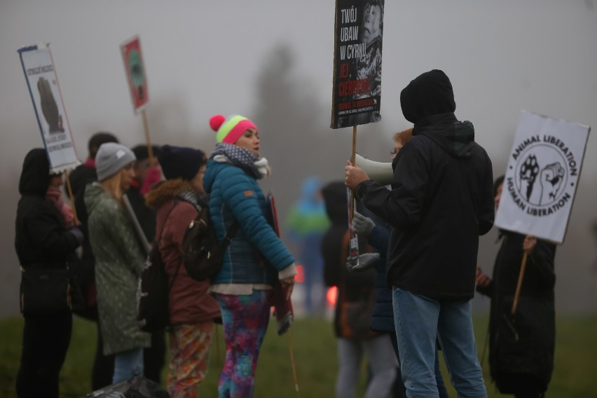 Pikieta obrońców praw zwierząt w Rzeszowie pod Cyrkiem Arena 