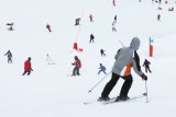 Limanowscy policjanci skontrolowali nielegalnie działający stok narciarski. Właścicielowi grozi kara w wysokości 30. tysięcy złotych
