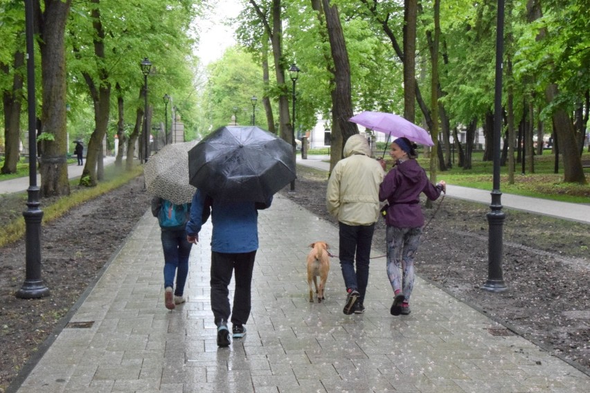 W sobotę w Busku-Zdroju spadł deszcz, co spowodowało, że w...