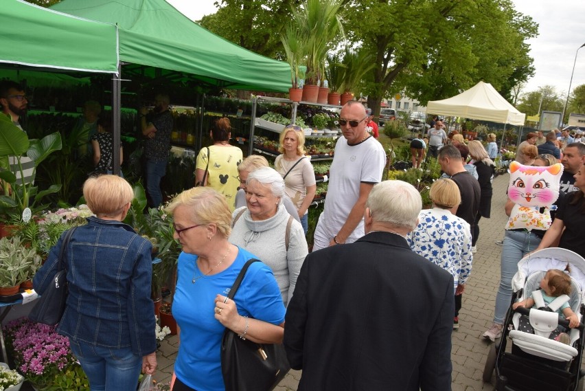 Można kupić rośliny kwitnące, drzewka, krzewy