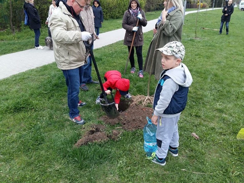 Akcja wspólnego sadzenia drzew Zamościu