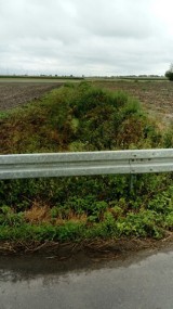 Wykoszą rów w Grzybnie i woda nie zaleje domu