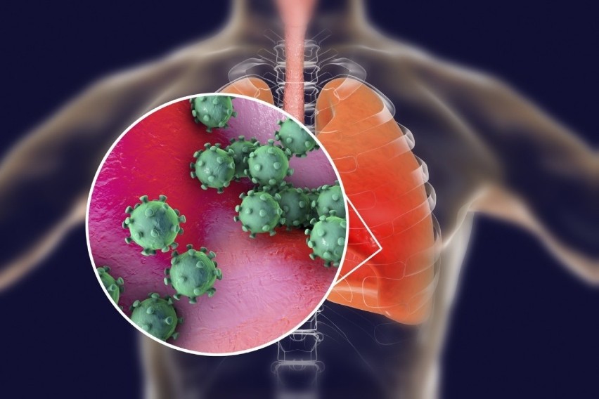 4. Koronawirus to zwykły wirus przeziębienia, znany od lat,...
