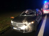 Wypadek w Gręblinie. Samochód uderzył w sarnę - jedna osoba została ranna