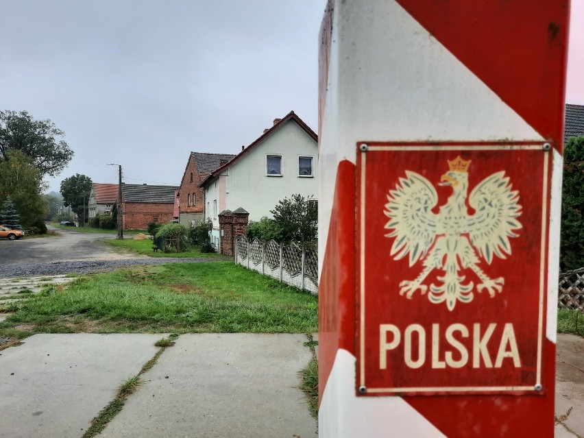W Poźnej krowy uciekały przez granicę, tiry myślały, że przyjechały do Poznania