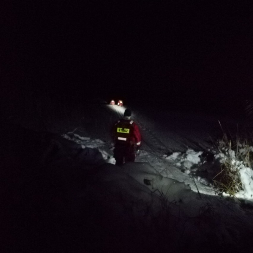 Strażacy z prabuckiej MOSP uratowali sarnę! Pod zwierzęciem zarwał się lód na Jeziorze Dzierzgoń [ZDJĘCIA]