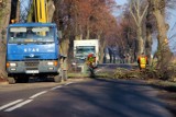 Bałdowo: wycinka drzew przed remontem drogi powiatowej