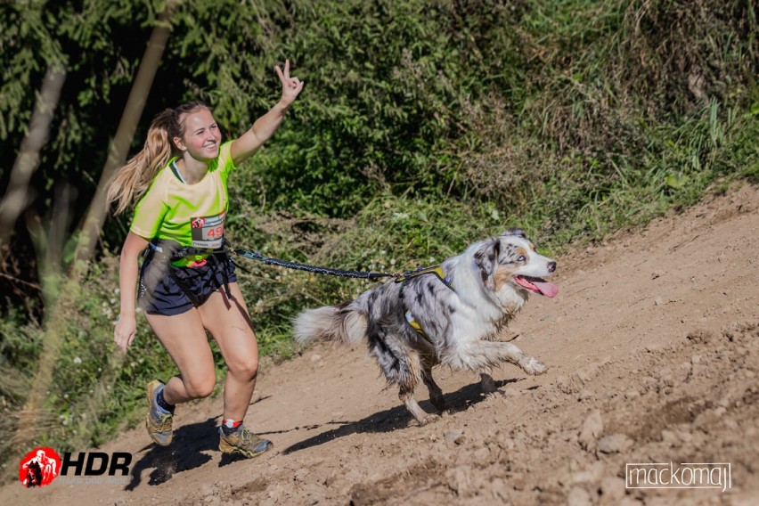 Hard Dog Race po raz pierwszy w Bydgoszczy! To wyjątkowe zawody z psami [zapowiedź, zdjęcia, wideo]