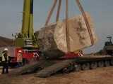 Na budowie S3 drogowcy znaleźli "skarb". Pamiętacie? Ważył 40 ton i trafił do muzeum