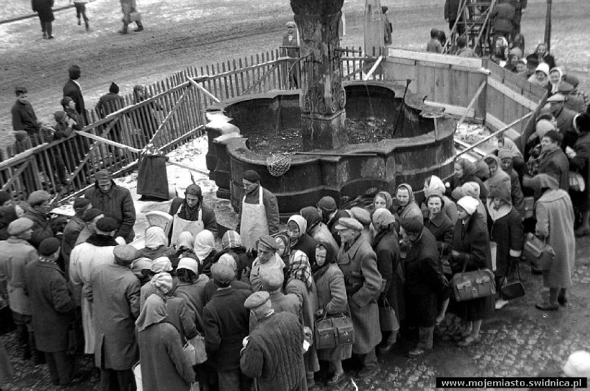 Za czym ta kolejka stoi? Sklepy w Świdnicy latach 70. i 80. Tu robili zakupy świdniczanie. Wyjątkowe zdjęcia! 