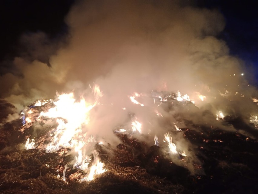 W wyniku pożaru w gminie Boniewo spaleniu uległo sto bel...