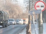 Korki na ulicy Smoluchowskiego. Kierowcy chcą przebudowy skrzyżowania