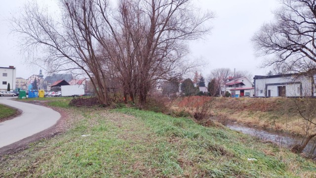 Trakt dla rowerzystów i spacerowiczów. Pobiegnie wzdłuż Wisłoka, od ul. Cichej do ul. Bursaki