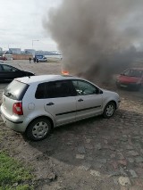 Pożar samochodu na ul. Portowej w Grudziądzu [zobacz wideo]