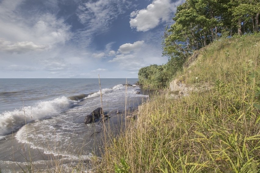 BAŁTYK – POMORSKIE

Czwartek, 31 maja 
Temperatura w dzień...