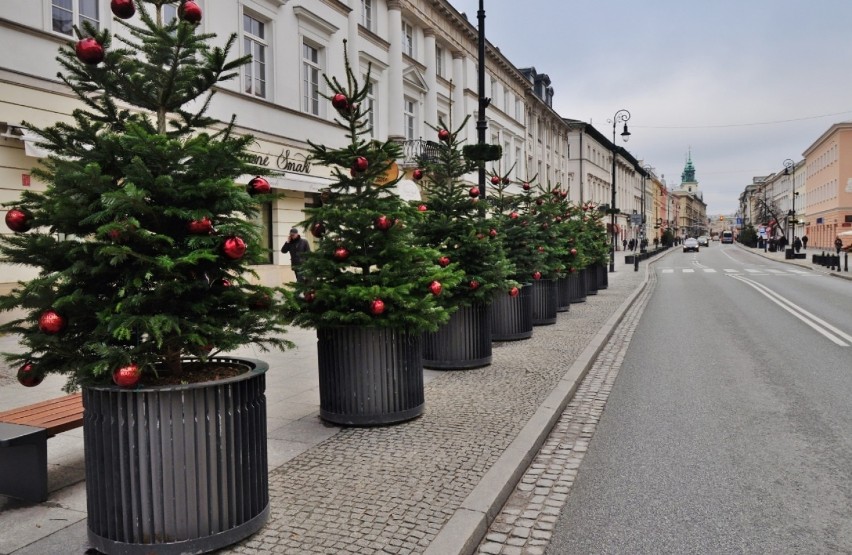 Choinki w centrum. Ponad 200 świątecznych drzewek stanęło na...