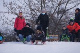 Zima 2021 w Radomsku. Białe szaleństwo na Wielorybku i w Parku Solidarności. Sanki i jabłuszka poszły w ruch [ZDJĘCIA]