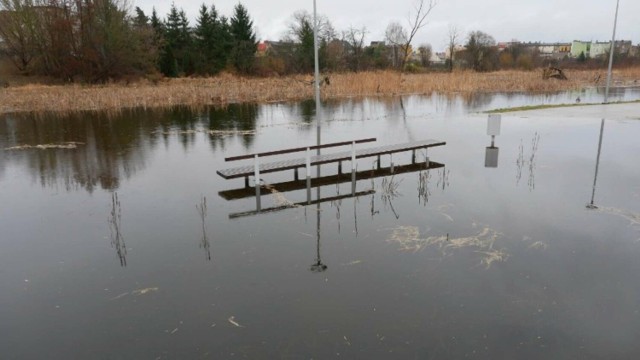 Niepokojący poziom wód na terenach zalewowych - Księży Kacerek w Wągrowcu i nad Jeziorem Durowskim.