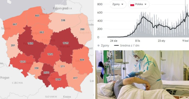 13 926 nowych przypadków koronawirusa w Polsce, 2 573 w woj. śląskim odnotowano w środę, 21 kwietnia 2021 roku W całym kraju na CoViD-19 zmarło aż 740 osób, w woj. śląskim - 126. 

Woj. śląskie jest na pierwszym miejscu w Polsce zarówno pod względem nowych zakażeń, jak i przypadków śmiertelnych!

O tym, jaki jest trend, czy zachorowań jest wciąż więcej a jak tak to o ile procent - możemy się przekonać, porównując ze sobą wyniki dzisiejszej środy z tą sprzed tygodnia

Porównując dzisiejszy wynik z tym sprzed tygodnia, to mamy spadek nowych zakażeń: w Polsce ok. 35 procent, natomiast w woj. śląskim ok. 24 procent!

Jednak, od ubiegłej środy - ilość przypadków śmiertelnych wciąż jest bardzo wysoka. Tydzień temu zgonów w Śląskiem było 124, a dziś 126.

Śląskiem wciąż na pierwszym miejscu

To w woj. śląskim wciąż jest największa liczba nowych zakażeń - 2 573, na miejscu drugim jest woj. mazowieckie - 1 615, a dalej woj. wielkopolskie - 1 429.

Liczba osób na kwarantannie w woj. śląskim to 37 045. Liczba wykonanych testów - 10 390, w tym z wynikiem pozytywnym - 2 771.

Gdzie w w woj. śląskim nowych zakażeń jest dramatycznie dużo, a gdzie liczba ta już znacznie spadła? Sprawdź. Kliknij w kolejne zdjęcie >>>

